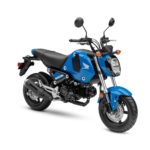 How Fast Can a Grom Go