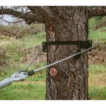 How to Attach Steel Cable to a Tree