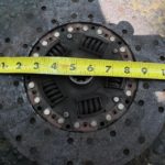 How to Measure Clutch Size