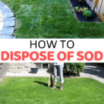 How to Dispose of Sod