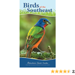 Where is the Ebcm Located? A Comprehensive Guide