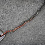 How to Get Snake Out of Car Interior