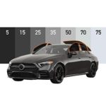 What is 70 Tint Look Like?