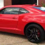 What Does 1Le Stand for